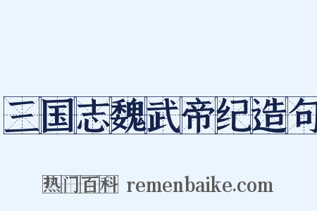 三国志魏武帝纪造句是什么意思的图片